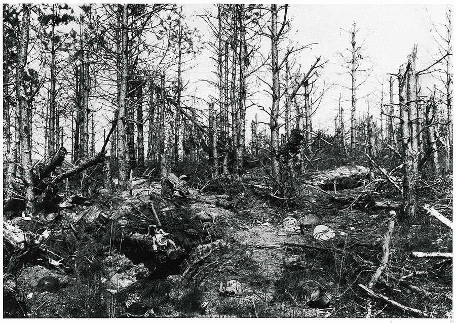 Belleau Wood Photograph by Ctsy. General Clifton B. Cates