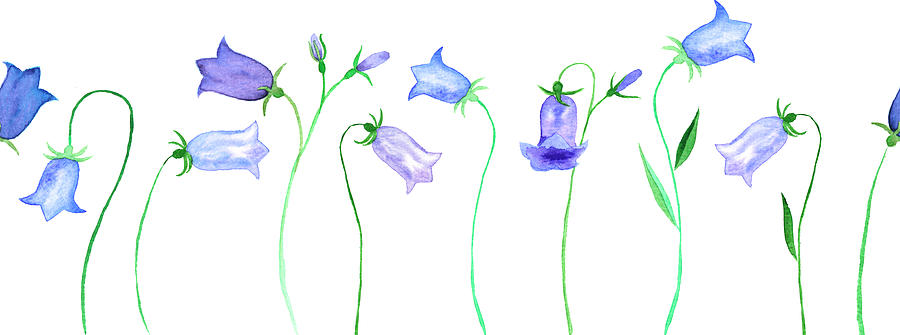 Flowers Still Life Painting - Bellflowerwatercolor Border  by Tamara Kulikova