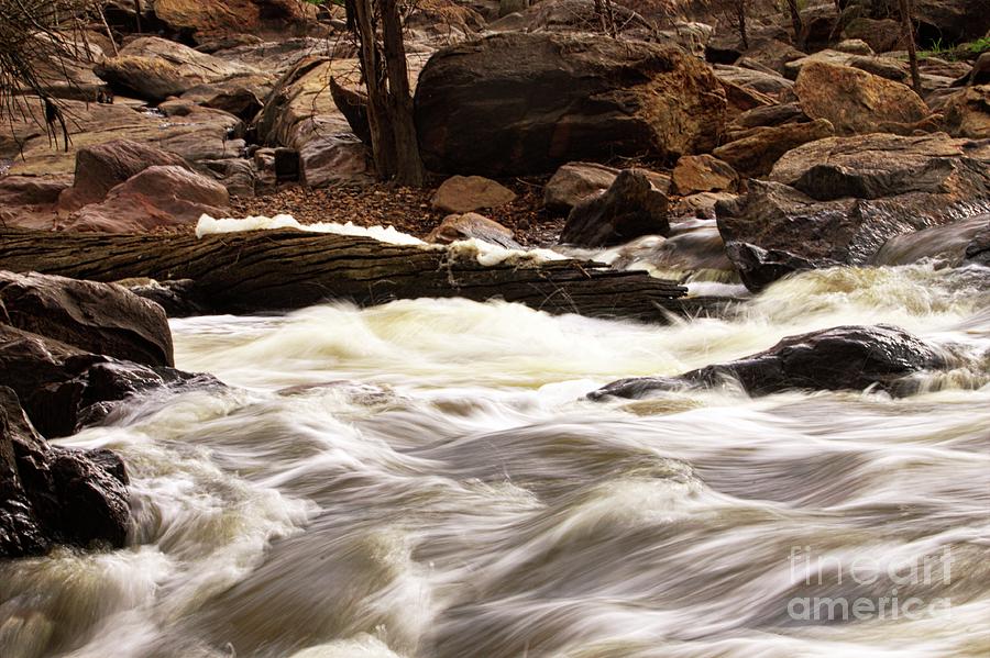 Bells Rapids - Swan River - Perth Western Australia -3 by Carolyn Parker Bells Rapids - Swan River - Perth Western Australia -3 by Carolyn Parker
