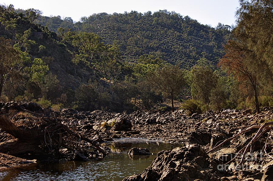 Bells Rapids - Western Australia - Dry by Carolyn Parker Bells Rapids - Western Australia - Dry by Carolyn Parker