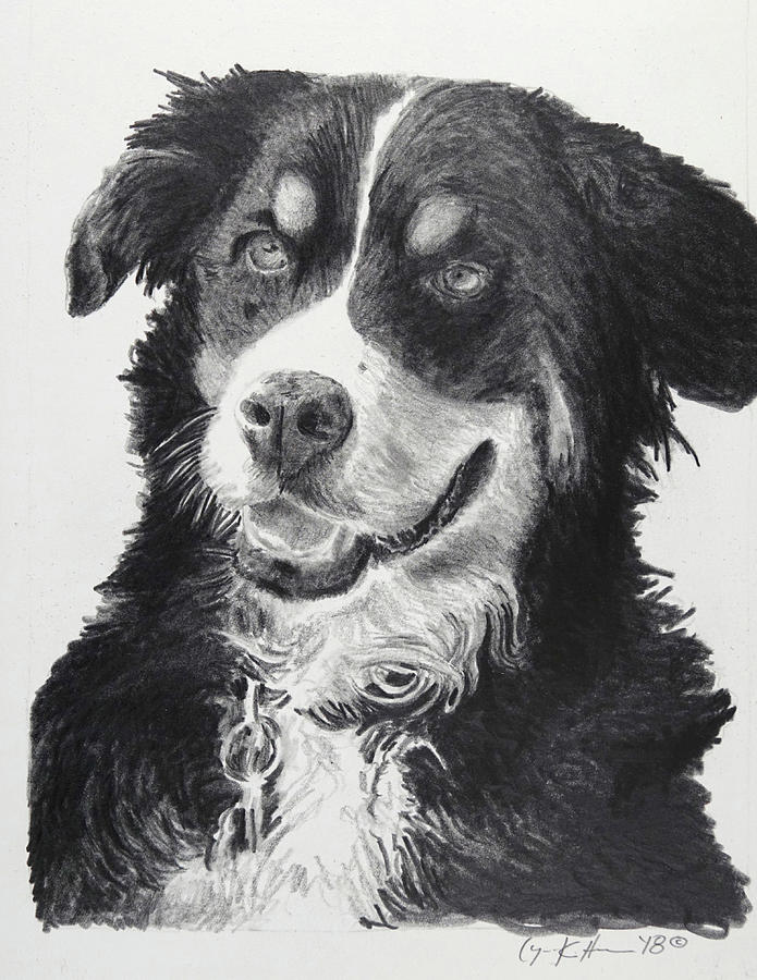 Dog Drawing - Beloved by Lynn Hansen