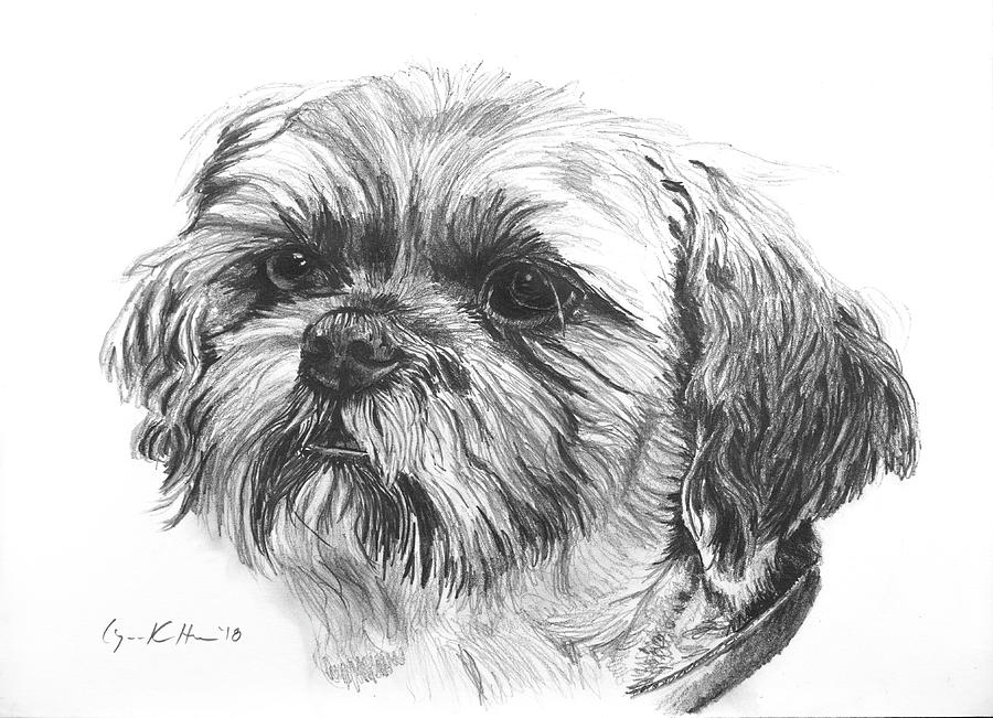 Beloved Pet Dog Drawing by Lynn Hansen