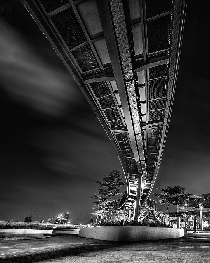 Below The Bridge Photograph by Antonyus Bunjamin (abe)