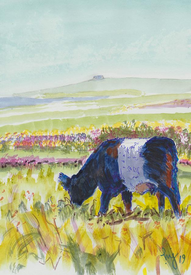 Belted Galloway Cow Dartmoor Watercolour Painting Painting by Mike Jory
