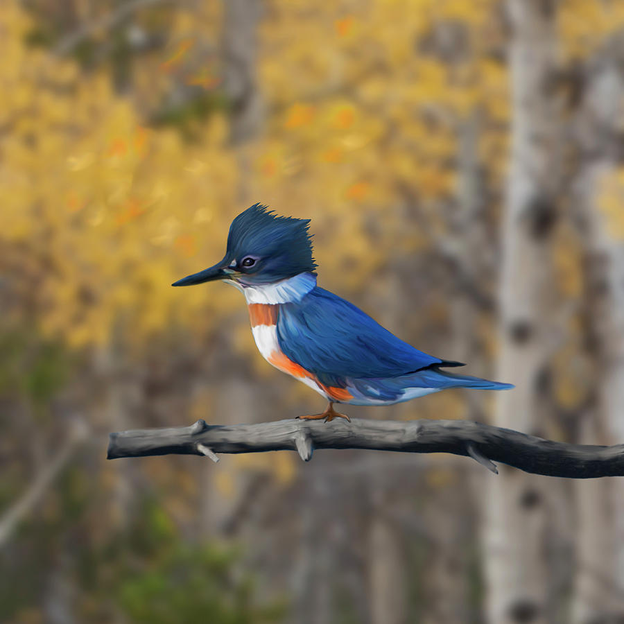 Belted Kingfisher in Aspens by Mark Miller Belted Kingfisher in Aspens by Mark Miller