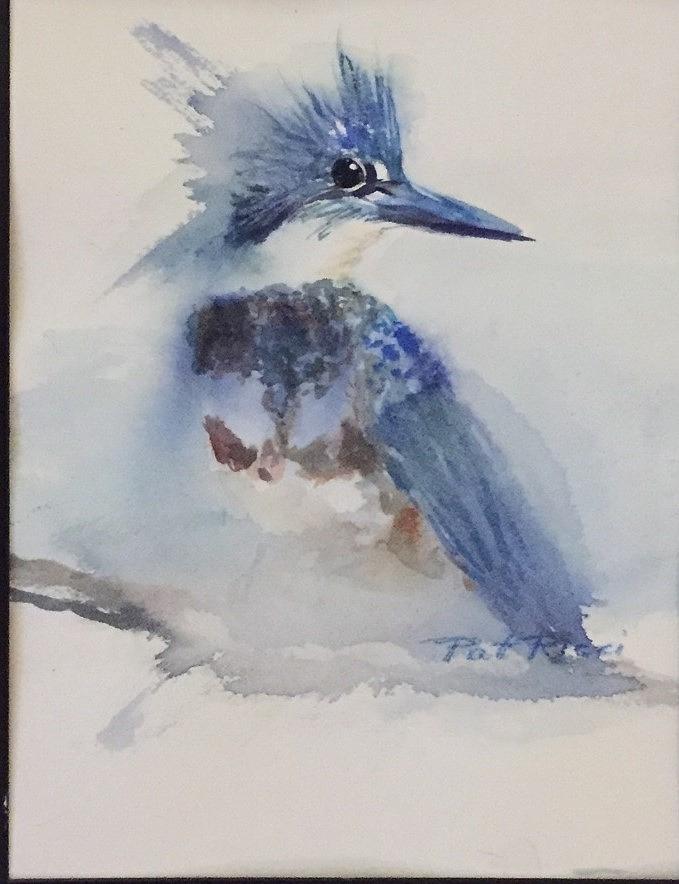 Belted Kingfisher Painting by Patricia Ricci