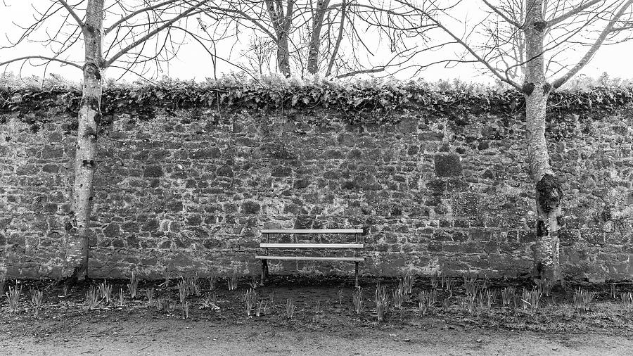 Bench and Wall Kilkenny Castle Ireland  Photograph by John McGraw