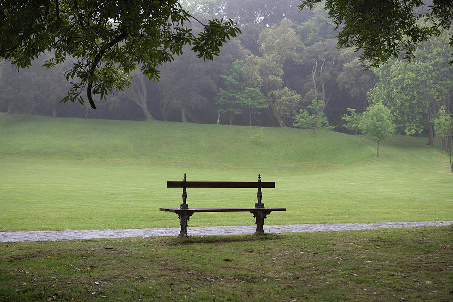 Bench In An Empty Public Park Photograph by Julio Lopez Saguar