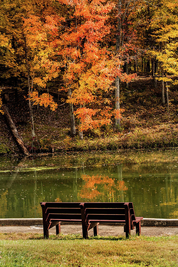 Bench in Early Fall Photograph by Don Johnson