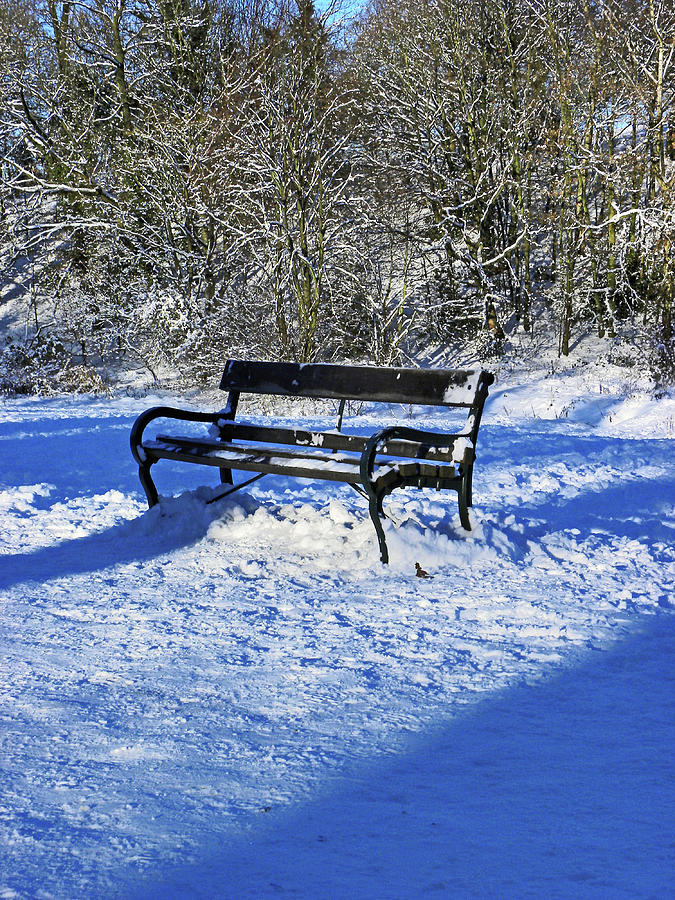 Bench In The Snow Photograph by Lachlan Main