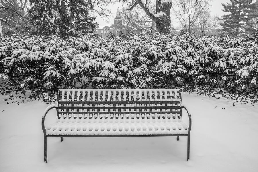 Bench in Winter  Photograph by John McGraw