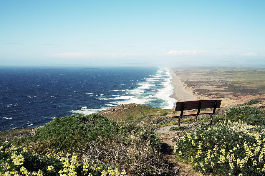 Bench Overlooking Pacific Ocean Photograph by Nick Kee Son