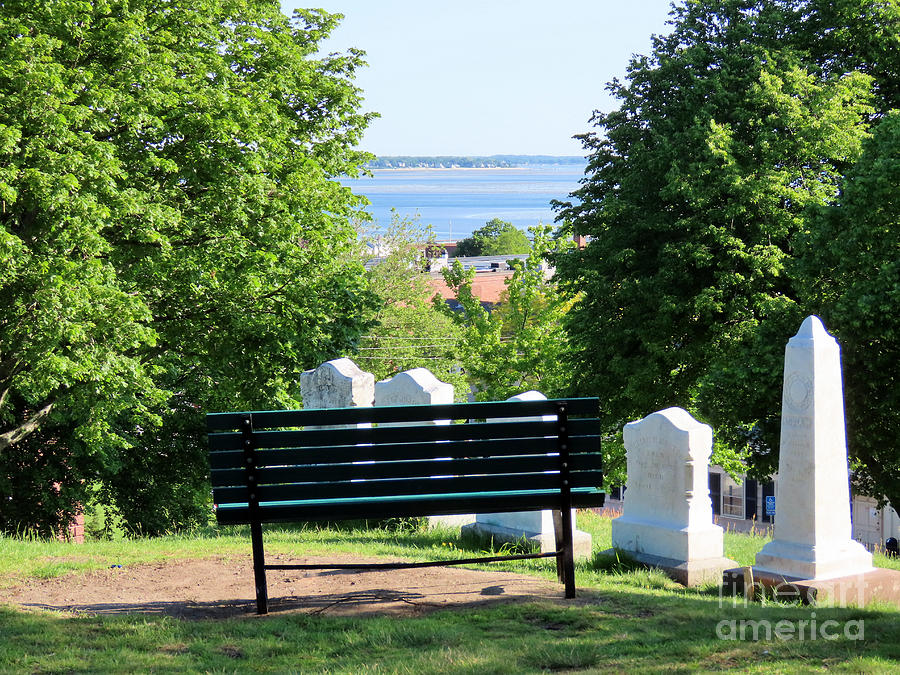 Bench with a harbor view Photograph by Janice Drew