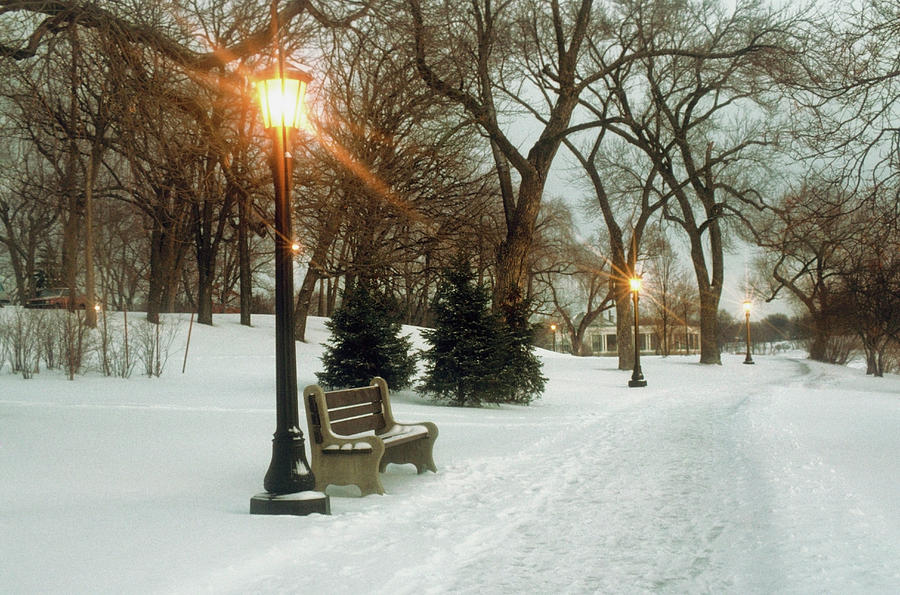 Bench With Streetlamp Near Snow-covered Photograph by Medioimages/photodisc