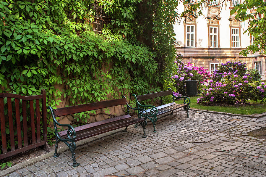 Benches at Entrance to Palace Gardens under Prague Castle Photograph by Jenny Rainbow