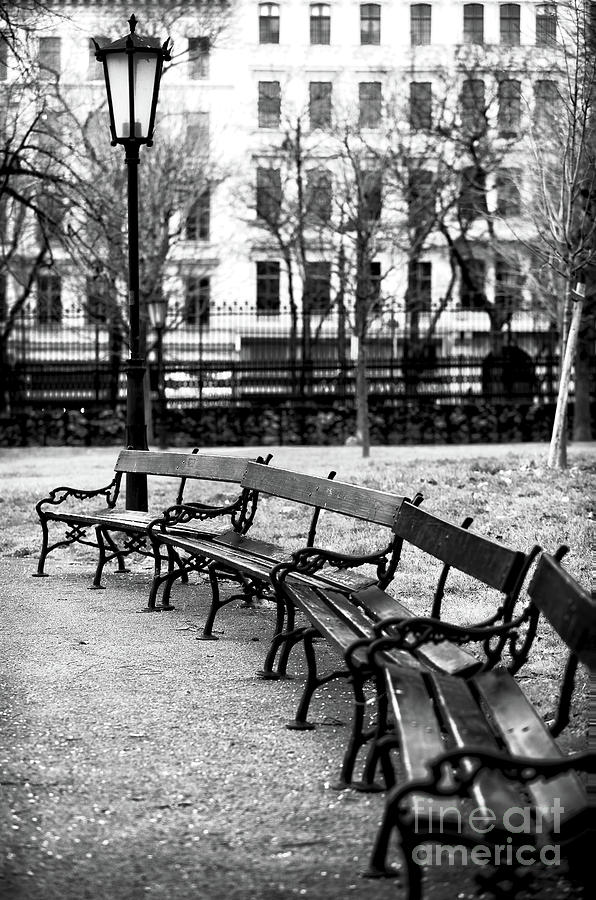 Benches at the Burggarten in Vienna Photograph by John Rizzuto