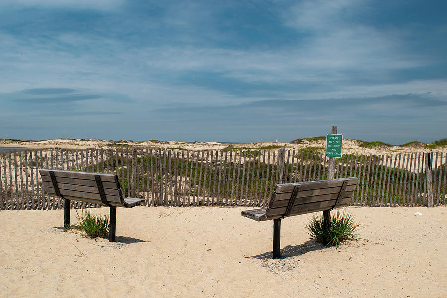 Benches Near the Dunes Photograph by Rose Guinther