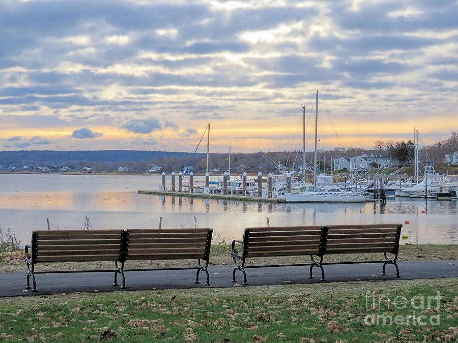 Benches with a View Photograph by Janice Drew
