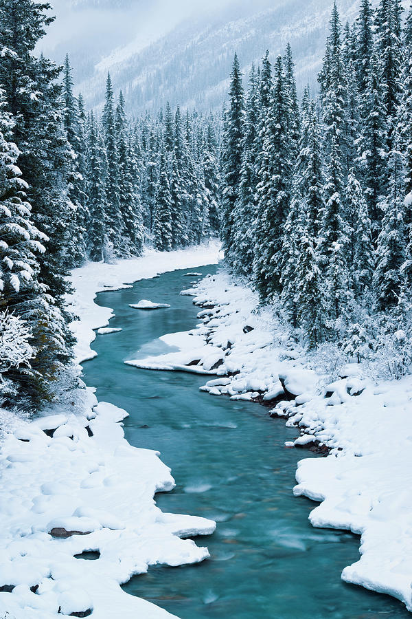 Winter Photograph - Bend In The North Saskatchewan by Michael Blanchette Photography