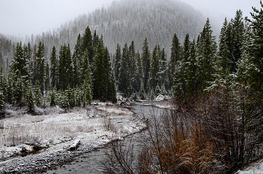 Bend in the Shoshone Photograph by Dwight Eddington - Fine Art America