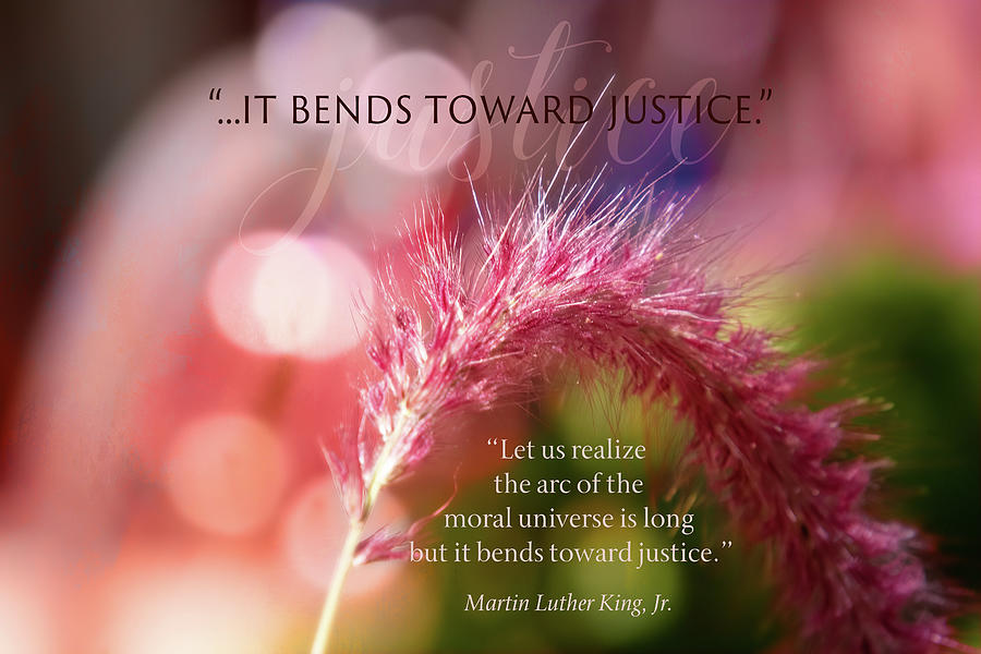 Bending Toward Justice Quote Digital Art by Terry Davis