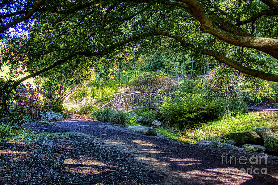 Beneath the Oak Tree by James Foshee Beneath the Oak Tree by James Foshee