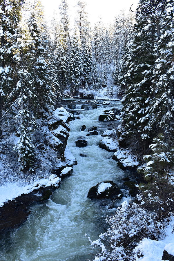 Winter Photograph - Benham Fall - Central Oregon  by Bandie Newton