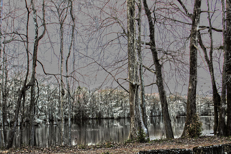 Bennett Mill Pond Photograph by Carolyn Ricks