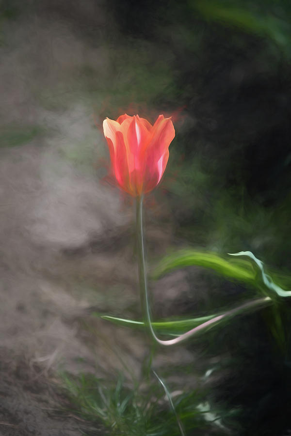 Bent but not Broken by Johanna Froese Bent but not Broken by Johanna Froese