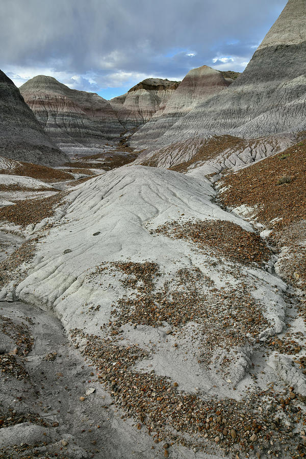 Bentonite Dunes of Blue Mesa Photograph by Ray Mathis