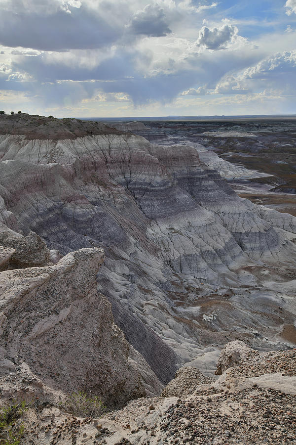Bentonite Dunes of Petrified Forest NP Photograph by Ray Mathis
