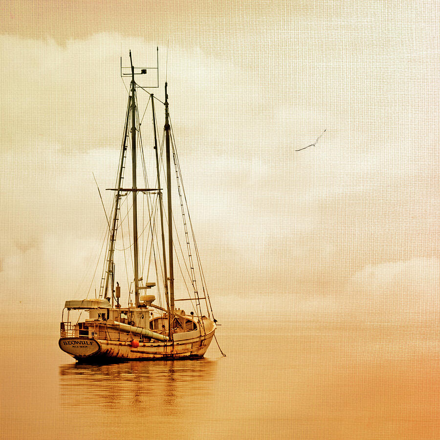 Boat Photograph - Beowulf by Nikolyn McDonald