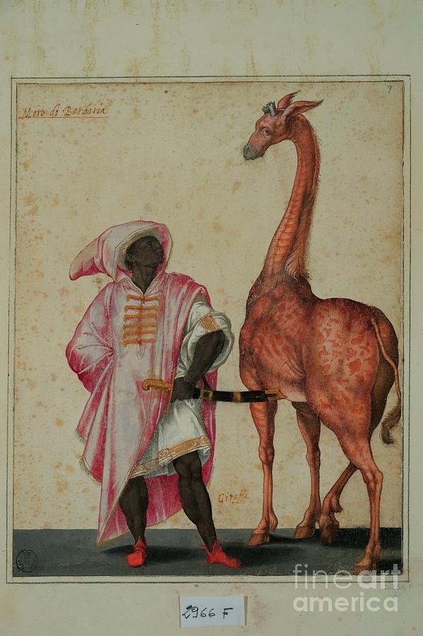 Berber With A Giraffe Painting by Jacopo Ligozzi - Fine Art America