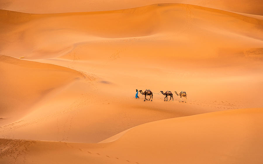 Berber\'s Life In The Desert Photograph by Miroslaw - Fine Art America