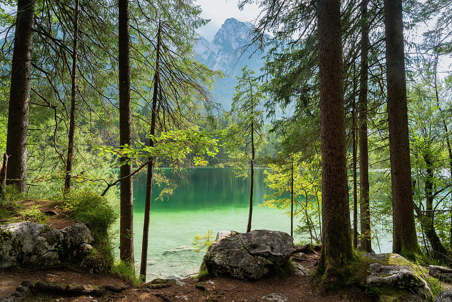 Berchtesgaden National Park, Berchtesgadener Land, Upper Bavaria, Bavaria, Germany, Europe Photograph by Axel Ellerhorst