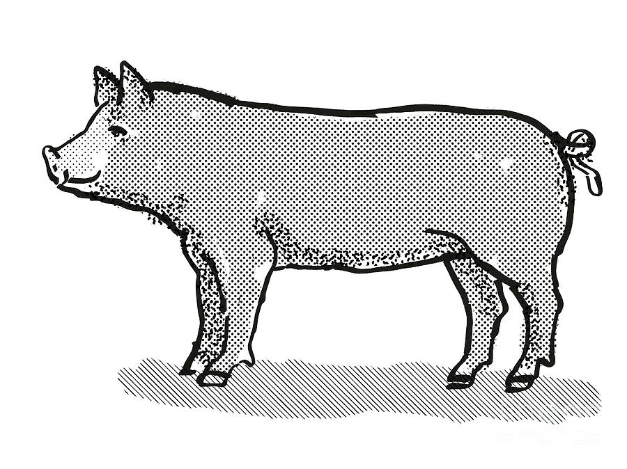 apartment complex clipart black and white pig