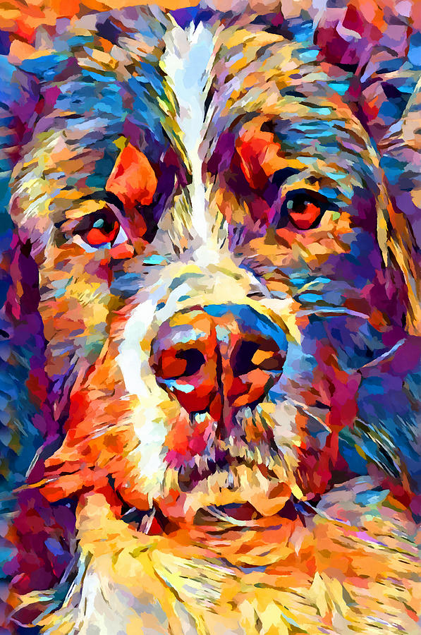 Bernese Mountain Dog 3 Painting by Chris Butler