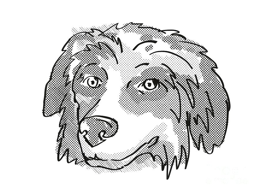 Bernese Mountain Dog Dog Breed Cartoon Retro Drawing Digital Art