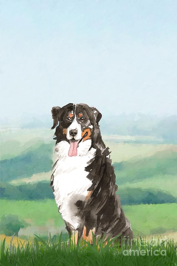 Bernese Mountain Dog Painting by John Edwards