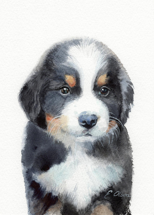 Bernese Mountain Dog Puppy Painting by Emily Olson