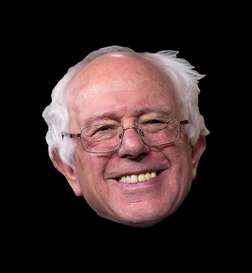 Bernie Face Digital Art by Jenny Fill - Fine Art America