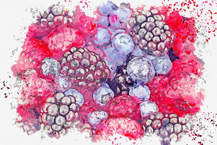 Berries Berry Blackberries Blackberry -  watercolor by Ahmet Asar Painting by Celestial Images