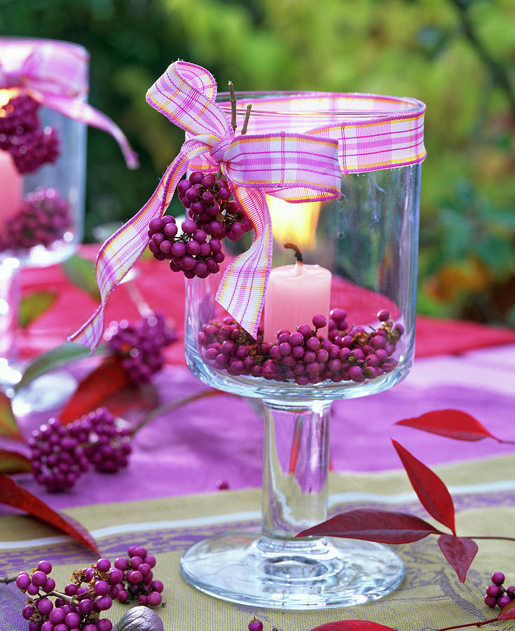 Berries Of Callicarpa In Lantern With Pink Candle Photograph by Friedrich Strauss