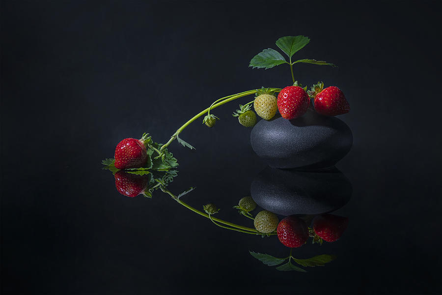Strawberry Photograph - Berries Reflected by Lydia Jacobs