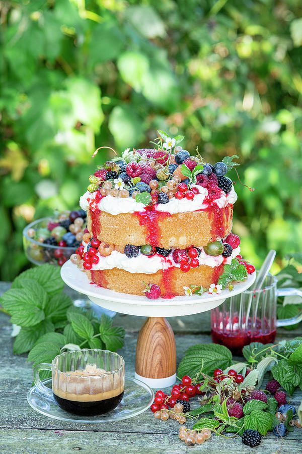 Berry Cake In A Garden Photograph by Irina Meliukh