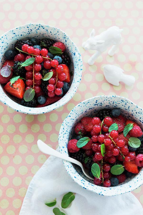 Berry Salad With Mint Photograph by Veronika Studer