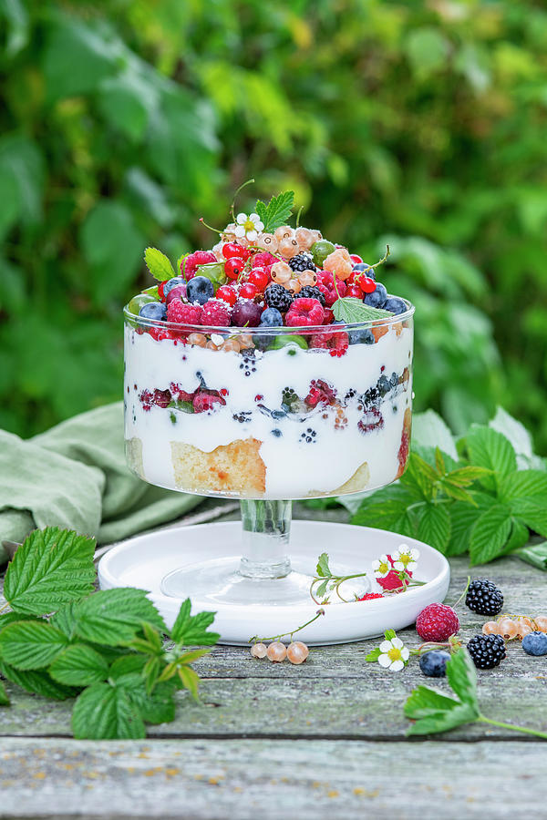 Berry Yogurt Trifle Photograph by Irina Meliukh