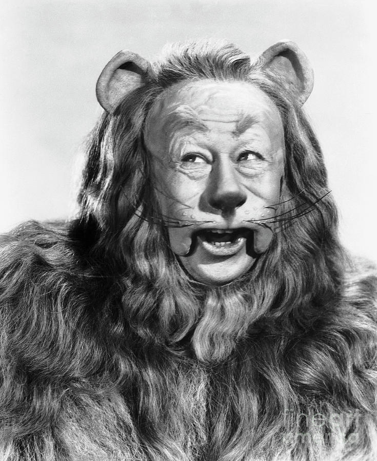 Bert Lahr As Cowardly Lion From Oz Photograph by Bettmann