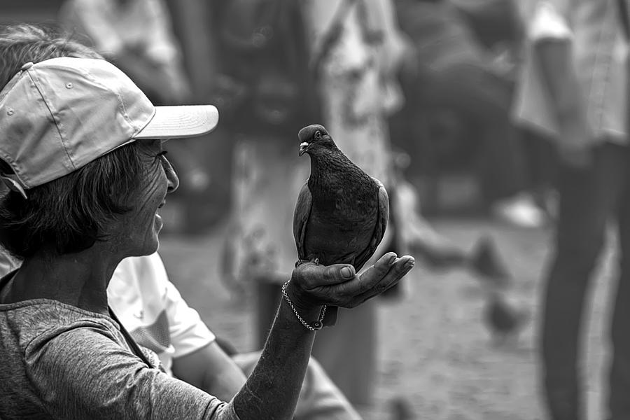 Pigeon Photograph - Best Friends by Nilgun Koksal