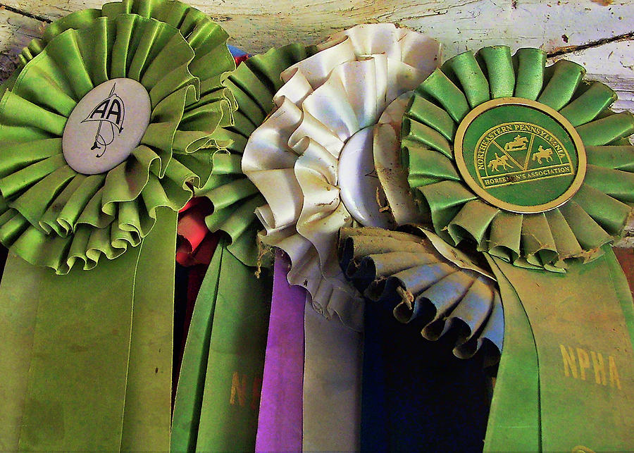 Best In Show   Photograph by Dressage Design